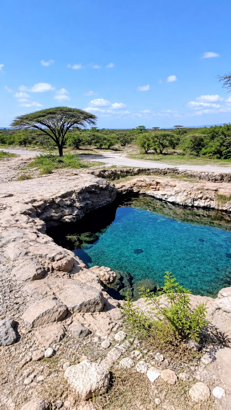 Samburu & Buffalo Springs Scenic Safari