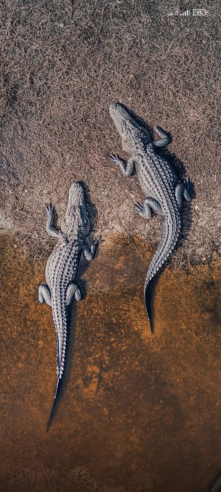Serengeti & Ngorongoro gallery image