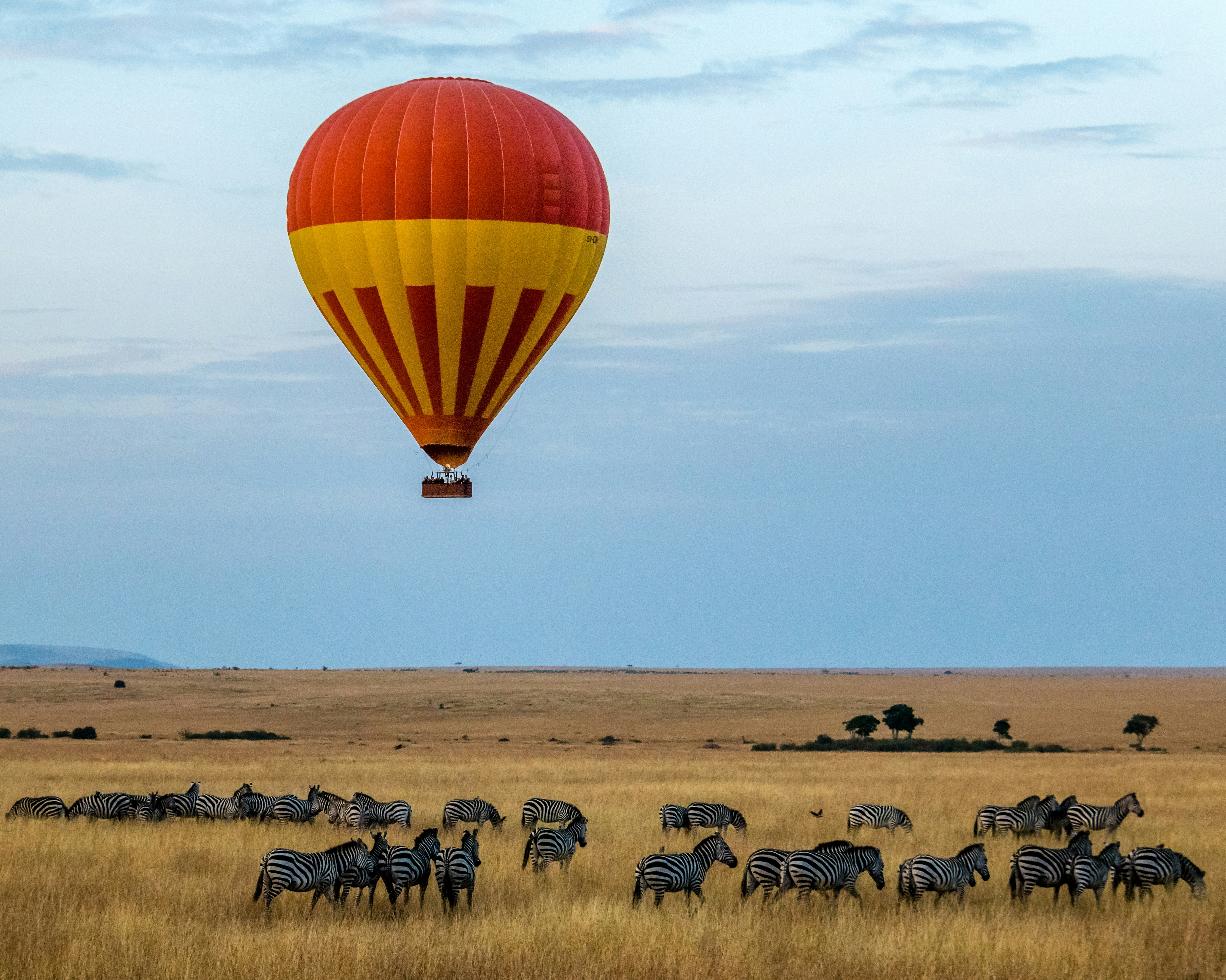Amipal Safaris about page hero