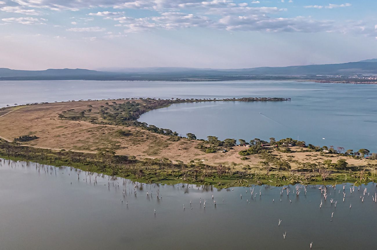 Lake Nakuru scenery