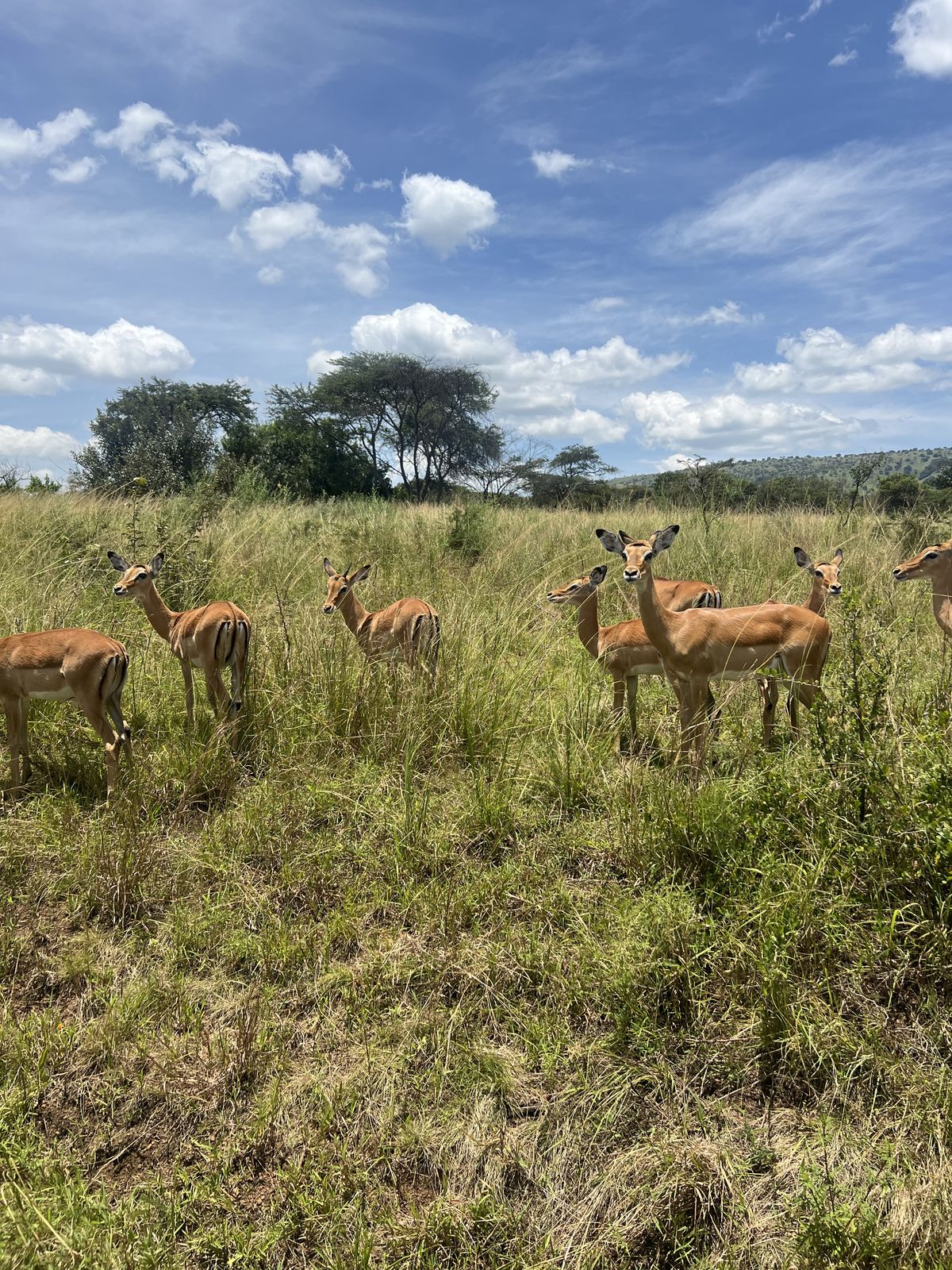 15-Day Ultimate Kenya Wildlife & Scenic Safari