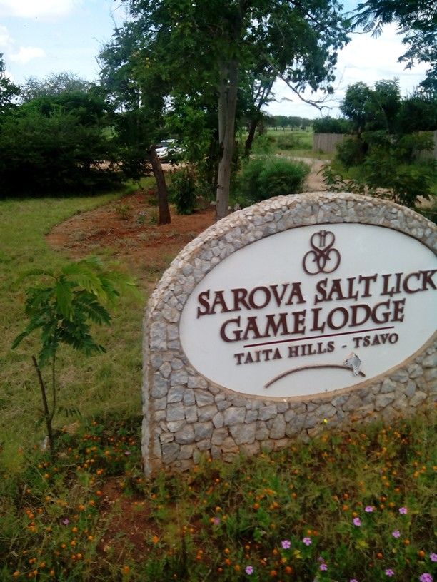 Salt Lick Safari Lodge 2-Day Getaway