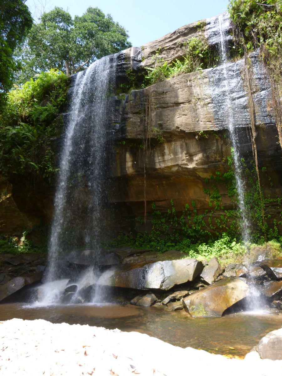 Shimba Hills & Wasini Coast Wildlife Break