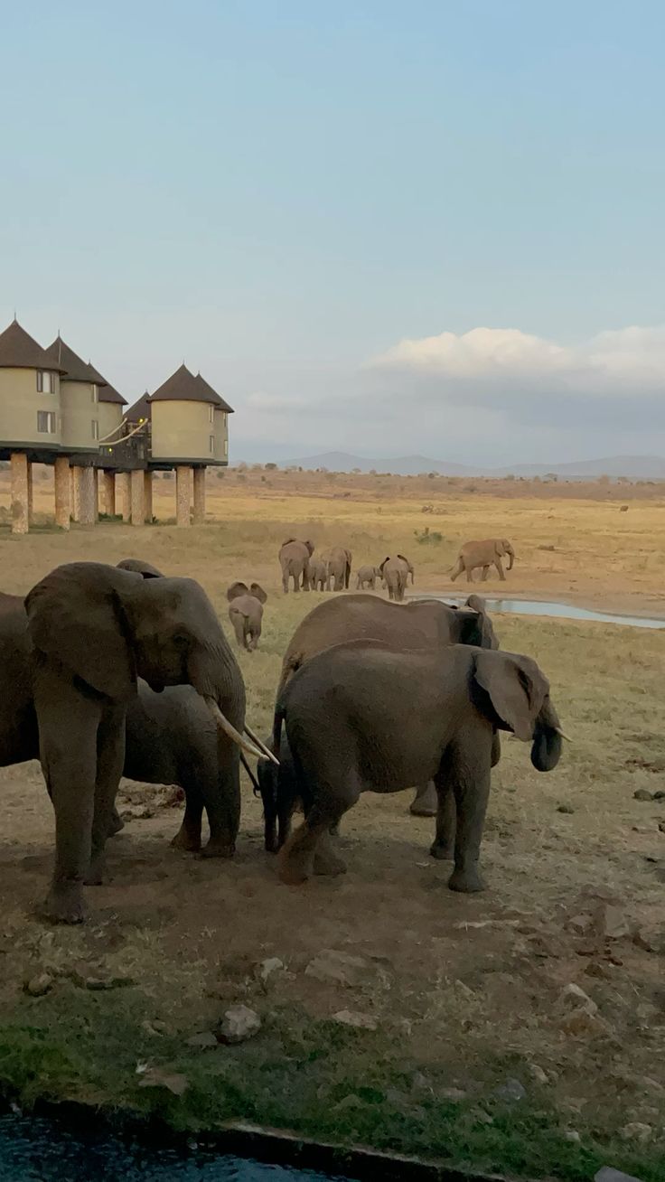 Taita Hills & Tsavo 2-Day Safari
