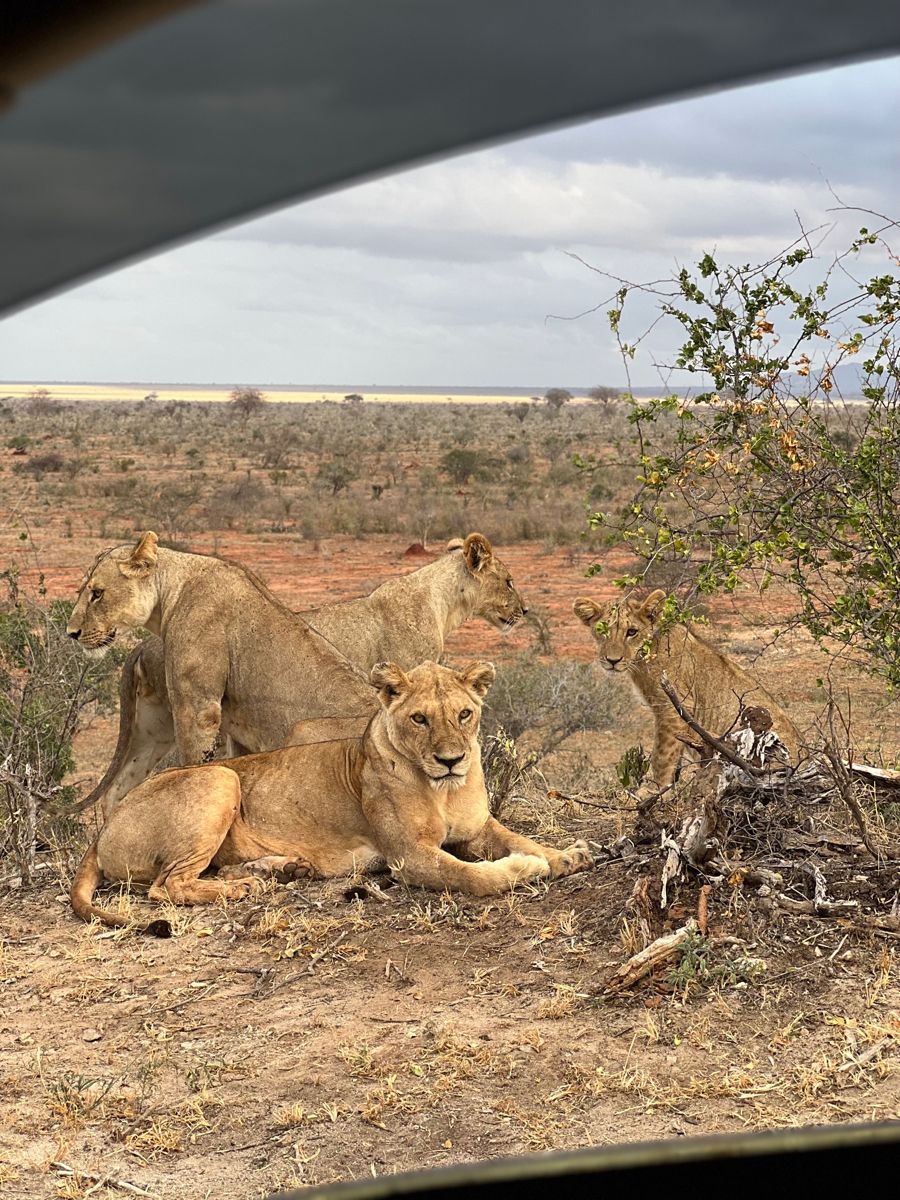 Tsavo East & West